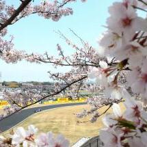 Grand Prix du Japon 2026 : les analyses de Pirelli avant la course
