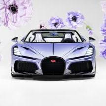 Bugatti W16 Mistral Caroline : une Mistral Sur Mesure florale